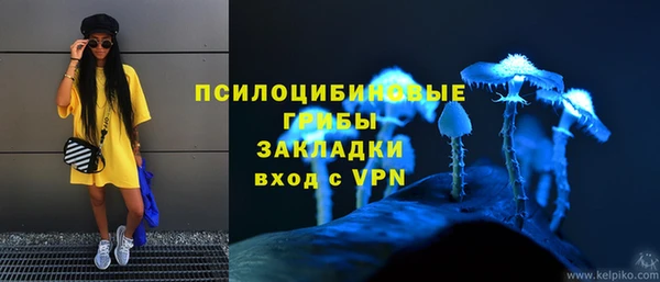 метадон Алексин